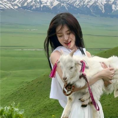 数码宝贝02:最初的召唤